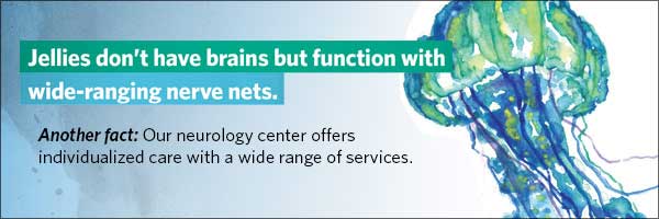 Jellies don’t have brains, but function with wide ranging nerve nets.